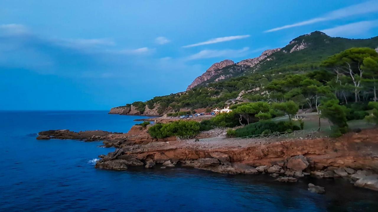 Es Fasser Alcudia  Exteriör bild