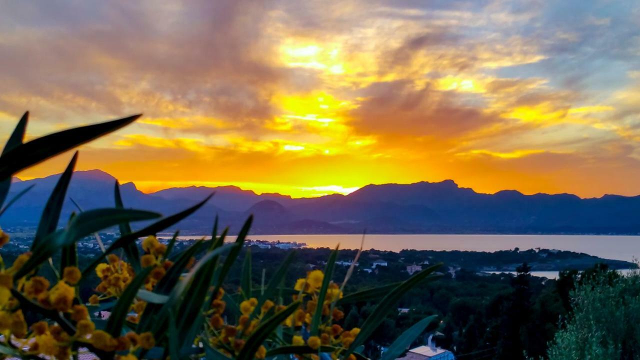Es Fasser Alcudia  Exteriör bild