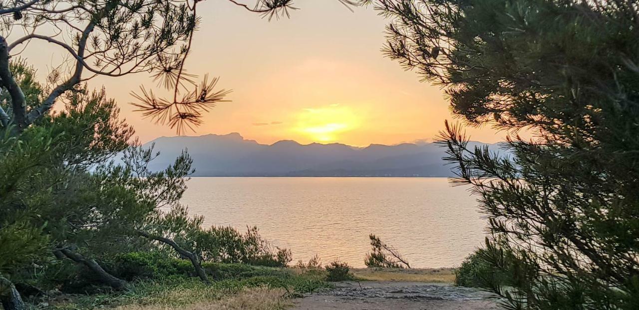 Es Fasser Alcudia  Exteriör bild