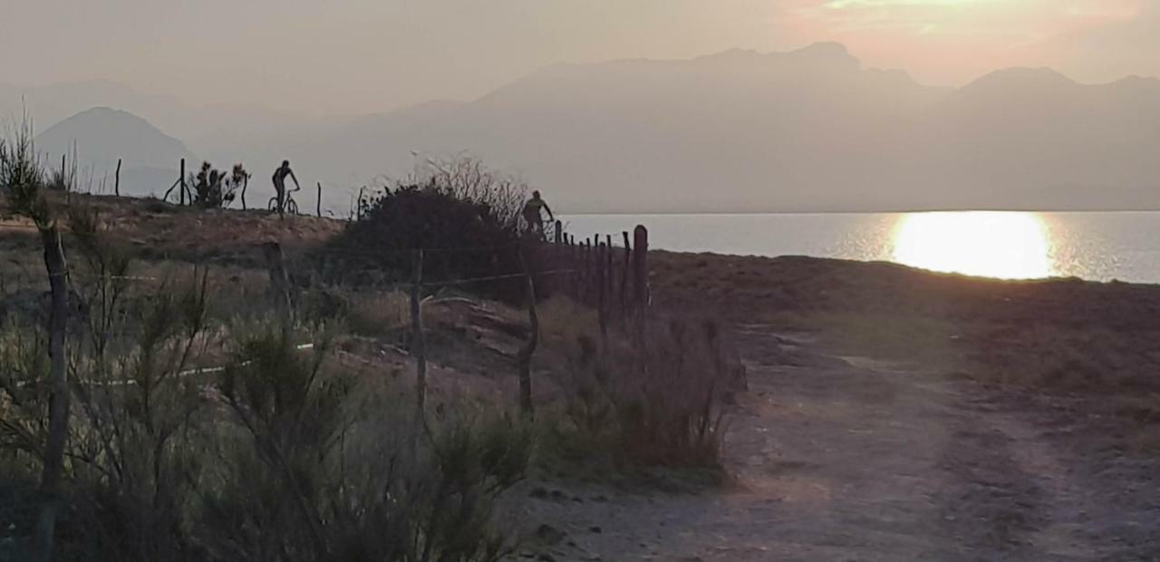 Es Fasser Alcudia  Exteriör bild