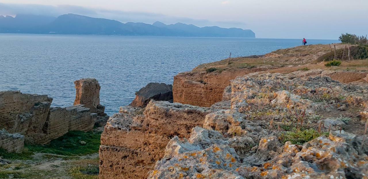 Es Fasser Alcudia  Exteriör bild