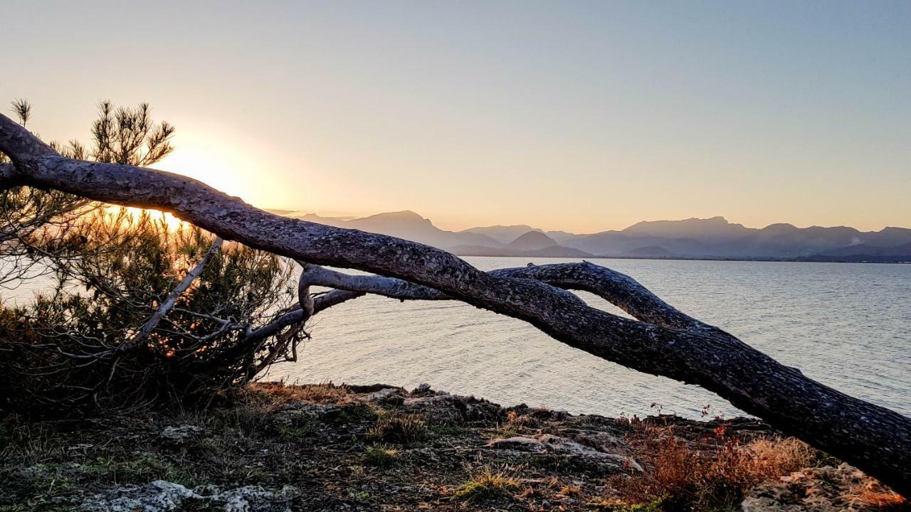 Es Fasser Alcudia  Exteriör bild