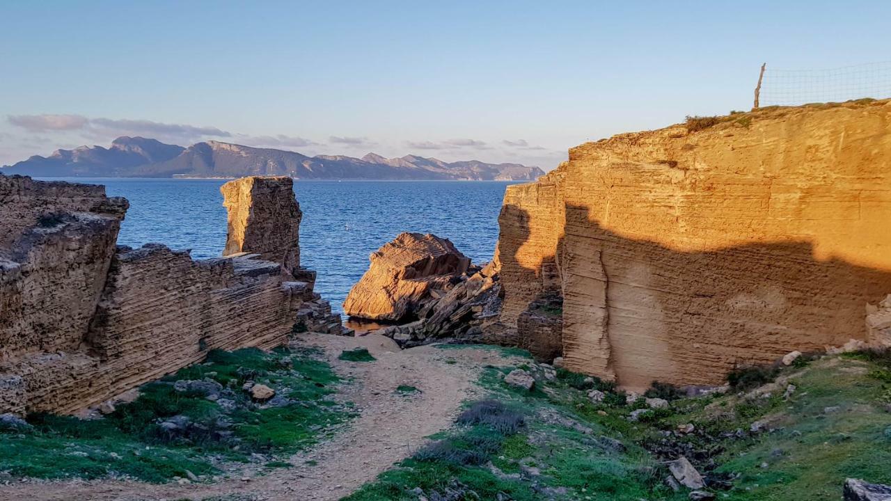 Es Fasser Alcudia  Exteriör bild