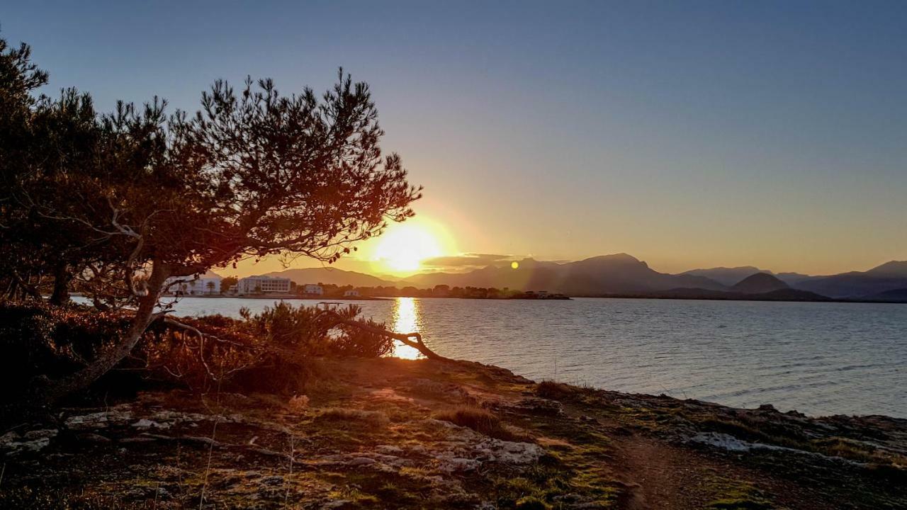Es Fasser Alcudia  Exteriör bild